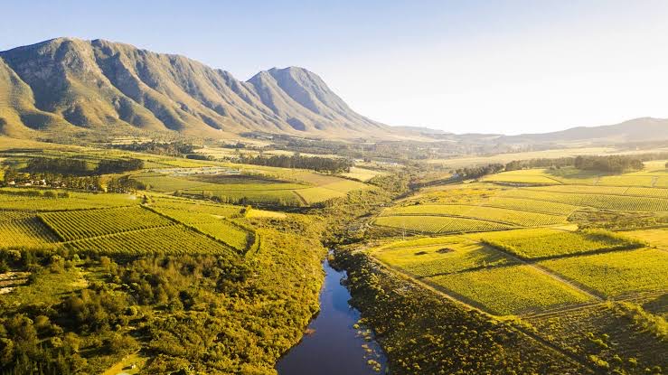 Hemel-en-Aarde-Valley-1