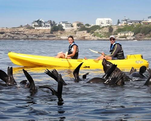 activities-seakayaking